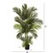 Nearly Natural 5.5'H Home Decorative Areca Palm Artificial Tree